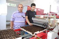 Bafra Sebze �reticileri Birli�i 