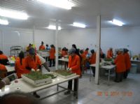  Antalya Growtech Fuar